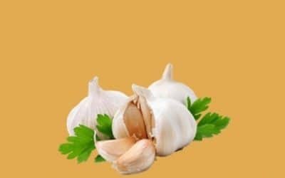 5 health benefits of garlic