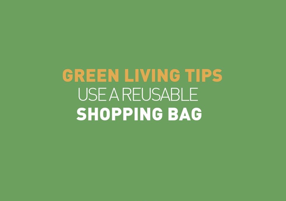 Reusable shopping bag