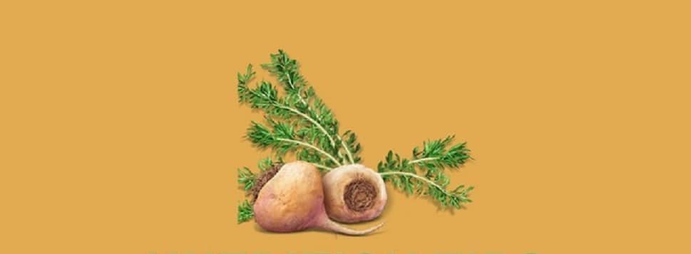 5 bienfaits de la maca sur la santé