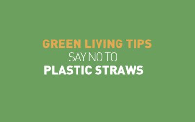 No to plastic straws