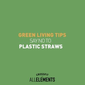 Green Living Tips - No to Plastic Straws