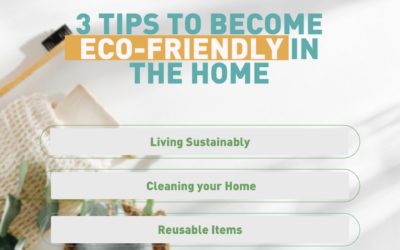3 TIPS TO BECOME MORE ECO-FRIENDLY IN THE HOME