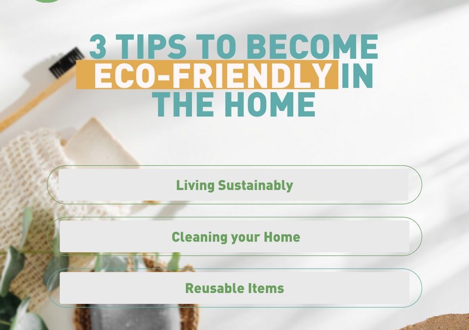 3 TIPS TO BECOME MORE ECO-FRIENDLY IN THE HOME