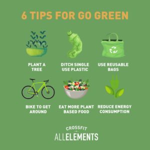 6 tips to go green