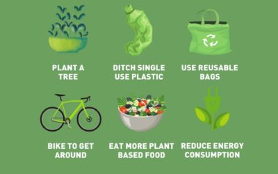 6 tips to go green