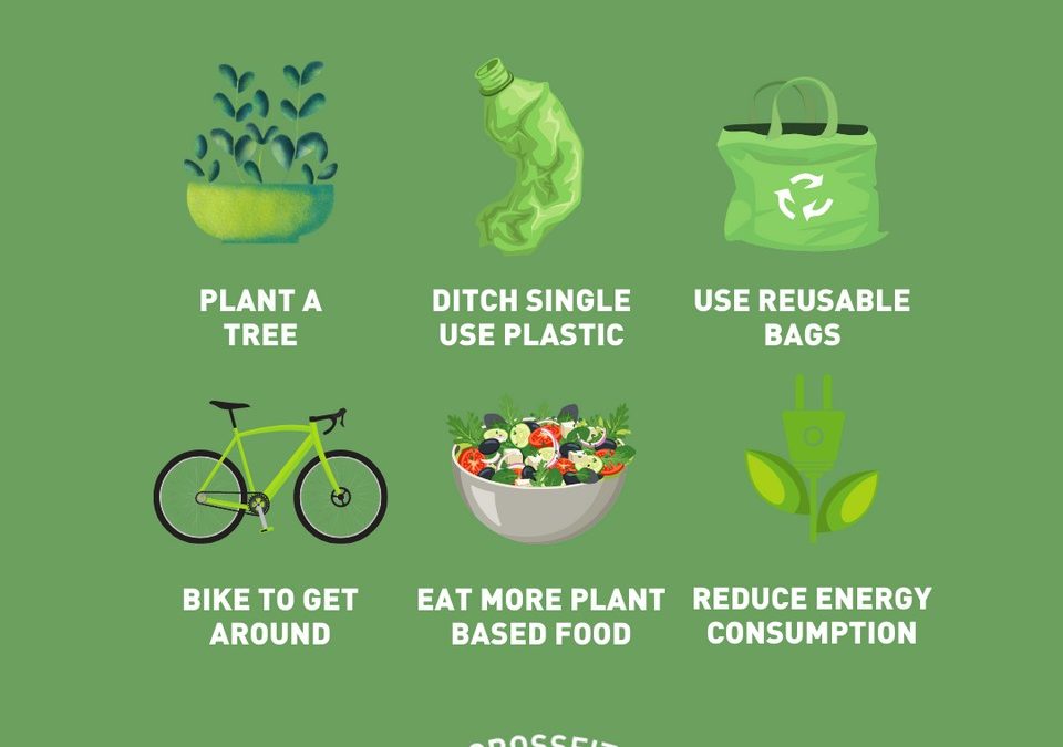 6 tips to go green