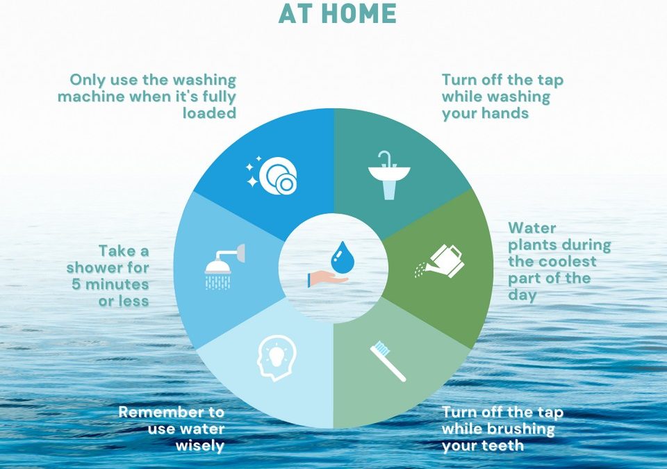 6 tips to save water