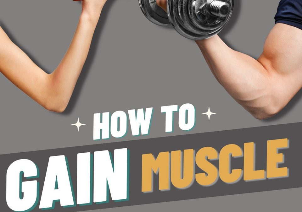 How to gain Muscle